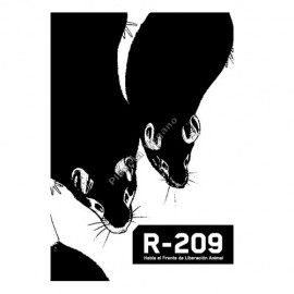 R-209