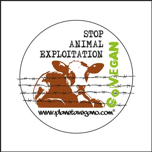 Imán Stop Animal Exploitation