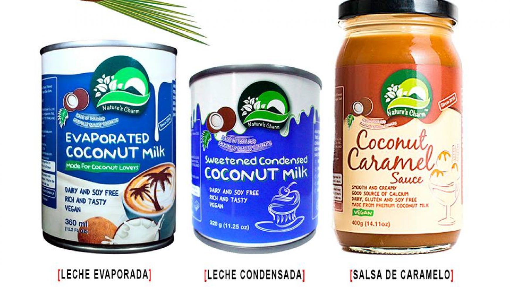 Deliciosas opciones veganas a partir del coco