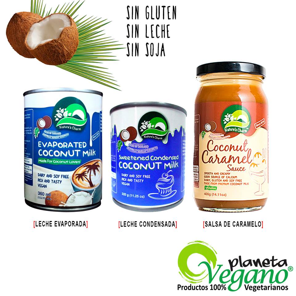 Borde diamante productos quimicos Deliciosas opciones veganas a partir del coco - Planeta Vegano